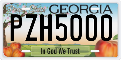 GA license plate PZH5000