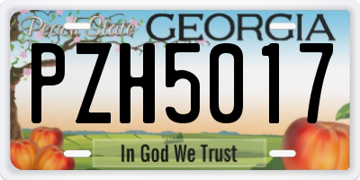 GA license plate PZH5017