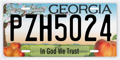 GA license plate PZH5024