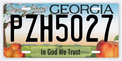 GA license plate PZH5027