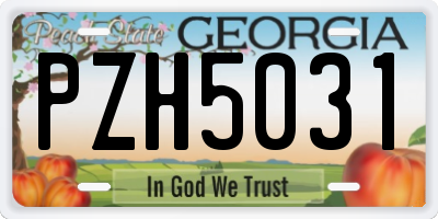 GA license plate PZH5031