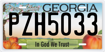 GA license plate PZH5033