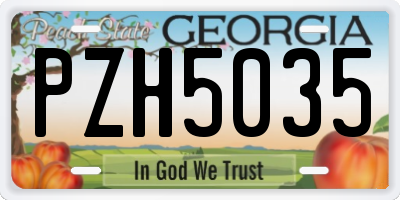 GA license plate PZH5035