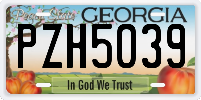 GA license plate PZH5039