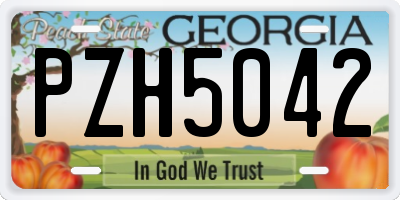 GA license plate PZH5042