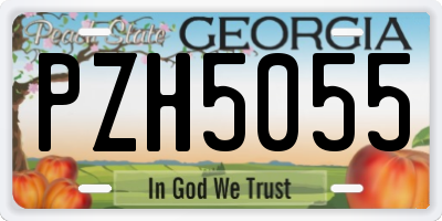 GA license plate PZH5055