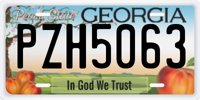 GA license plate PZH5063