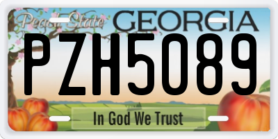 GA license plate PZH5089