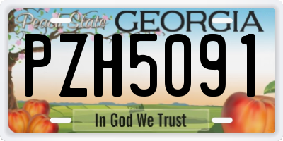 GA license plate PZH5091