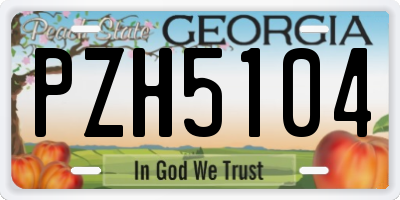GA license plate PZH5104