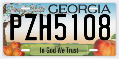 GA license plate PZH5108
