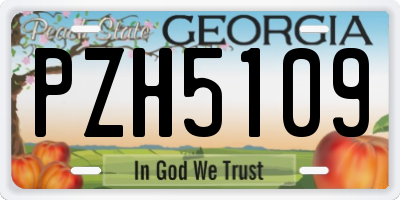 GA license plate PZH5109