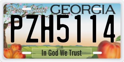 GA license plate PZH5114