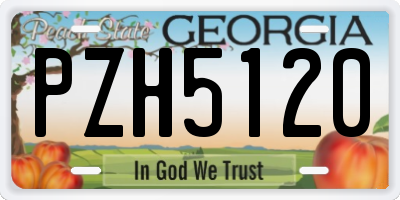 GA license plate PZH5120