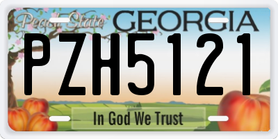 GA license plate PZH5121