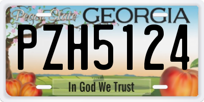 GA license plate PZH5124