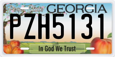 GA license plate PZH5131