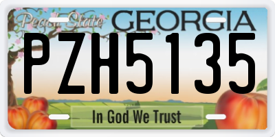 GA license plate PZH5135