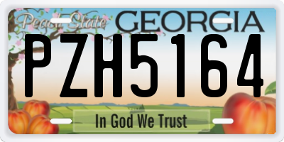 GA license plate PZH5164