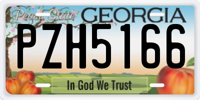 GA license plate PZH5166