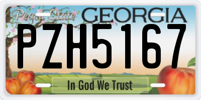 GA license plate PZH5167