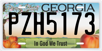 GA license plate PZH5173