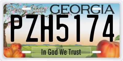 GA license plate PZH5174