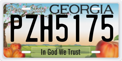 GA license plate PZH5175