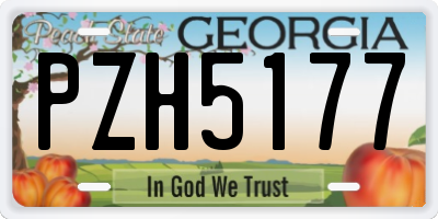 GA license plate PZH5177