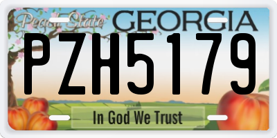 GA license plate PZH5179
