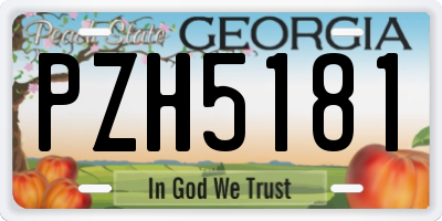 GA license plate PZH5181