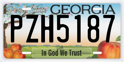 GA license plate PZH5187