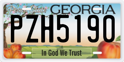 GA license plate PZH5190