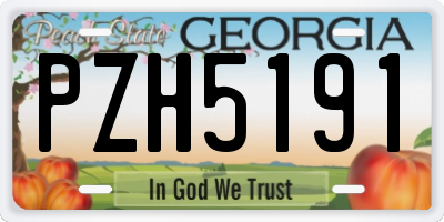 GA license plate PZH5191