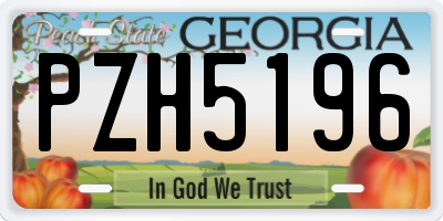 GA license plate PZH5196