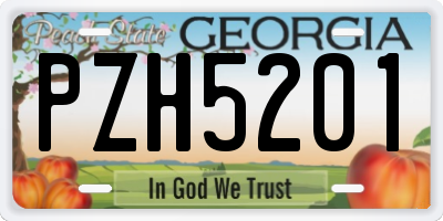 GA license plate PZH5201