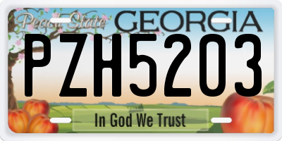 GA license plate PZH5203