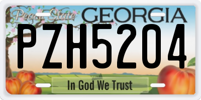 GA license plate PZH5204