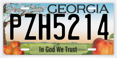 GA license plate PZH5214