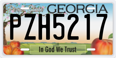 GA license plate PZH5217