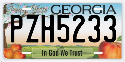 GA license plate PZH5233