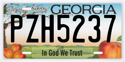 GA license plate PZH5237