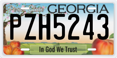 GA license plate PZH5243