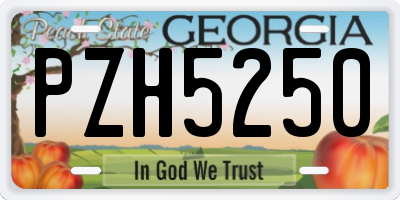 GA license plate PZH5250