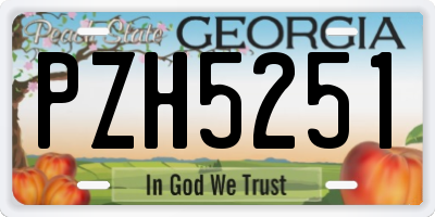 GA license plate PZH5251