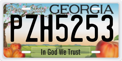 GA license plate PZH5253