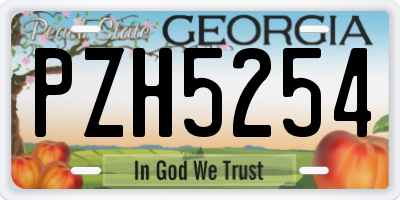 GA license plate PZH5254