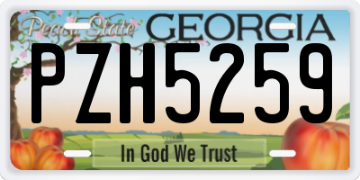 GA license plate PZH5259