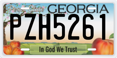 GA license plate PZH5261