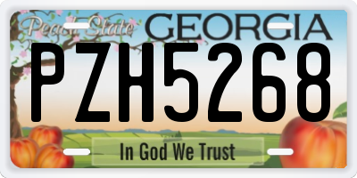 GA license plate PZH5268